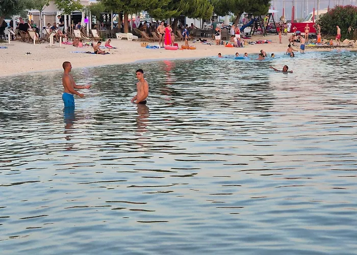 Daire Kingdom Bravos